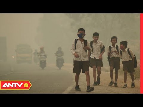 Thực hư SỐC về những chiếc máy lọc không khí nhiều người đã và đang sử dụng | Điều tra | ANTV