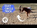 Liberty Trick Training: Teach Your Horse To Circle