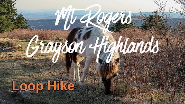 Mount Rogers/Grayson Highlands Loop Hike