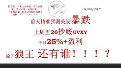 Lol狼王带你操美股 Youtube