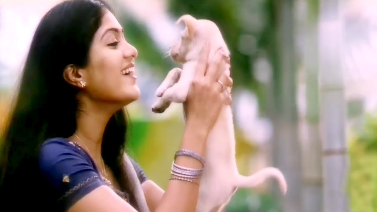 Love At First Sight Of Meghana Raj & Balaji Balakrishnan : Oh Shala Oh Shala Video Song