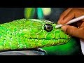 How to Draw a Realistic Snake | Time Lapse