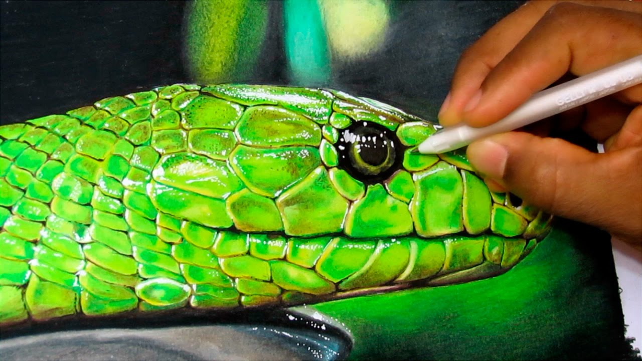 How To Draw A Realistic Snake Time Lapse Youtube In this tutorial i will be drawing along, one on one, with bill flowers aka the snake artist from australia, and than finish the drawing in my. how to draw a realistic snake time lapse