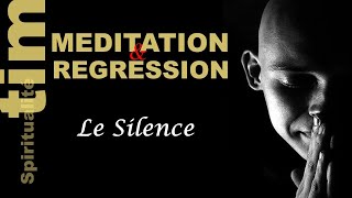 #608 INNER SILENCE: MEDITATION, HYPNOSIS, REGRESSION ©TIM 2026 #hypnosis #hypnose #cannon