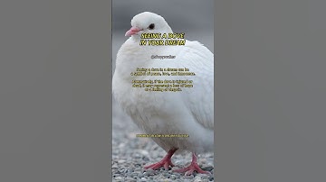 This is your sign. Answered by A.i. #dove #ai #dreaminterpretation