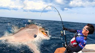 Unbelievable Fishermen Fishing Tuna And  Shark Catch The World's Biggest Monster Bluefin Tuna