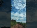 #sky #wildlife #nature #lifemotivation #fypシ゚viral #foryou #feedshorts #fypyoutube #fypシ゚ #blue 🏞️