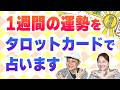 【４択】見たときから１週間の運勢をタロットカードで占います「開運教えて法演さん」