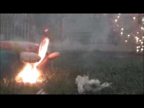Heeba (Pop Tatari) - Boredoms - Official Video