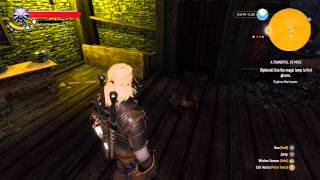 The Witcher 3: Weird Gravity Bug