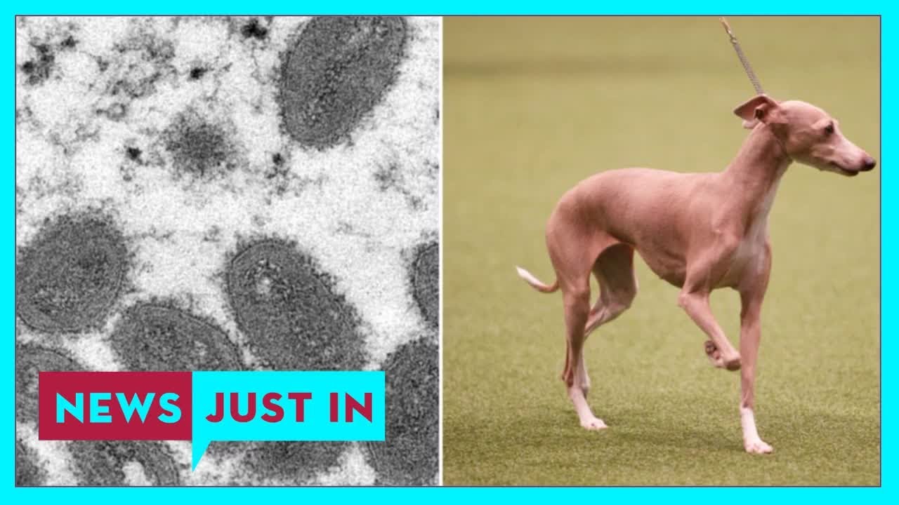 New case shows monkeypox can spread to your dog