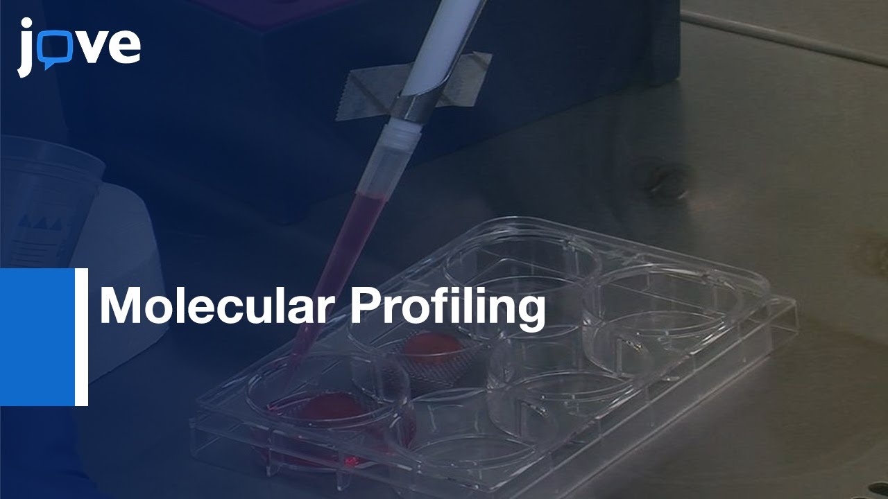 Molecular Profiling of Colorectal Cancer and Fibroblasts | Protocol ...