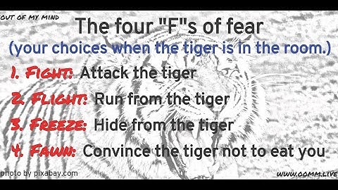 The Four "F"s of Fear: Fight, Flight, Freeze, and Fawn