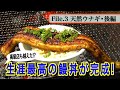 高級店も超えた？生涯最高の鰻丼の作り方　　天然食材ハンター谷田圭太の野人塾　File3《天然ウナギ 後編》