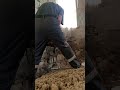 Выгоняю мышей перфоратором