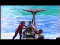 My All Time Favorite Killer Whale Shows at SeaWorld Orlando! (Part 1)