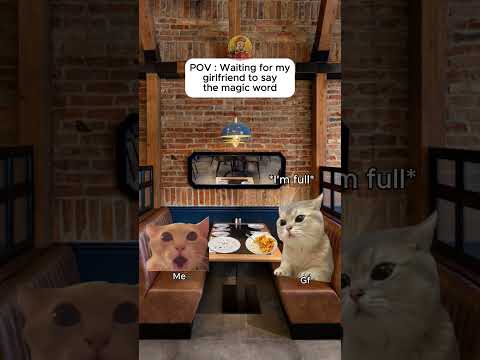 Cat Memes Waiting For My Gf To Say The Magic Word Relatable Catshorts Shorts Funny