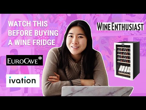 Watch this Before Buying a Wine Fridge - Guide on which Wine Storage Cooler is Best for You