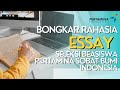 Bongkar rahasia lolos essay beasiswa pertamina sobat bumi indonesia