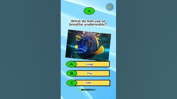 Science Quiz #4  #sciencequiz #quiz #mindbendingquiz #sciencetrivia #triviatricks #sciencequestions