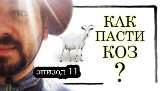 эпизод 11. Как пасти коз