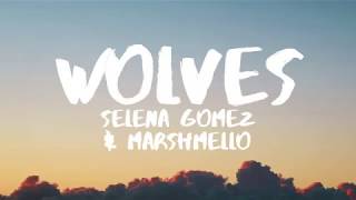 WOLVES -Selena Gomez, Marshmello (Lyrics Video)