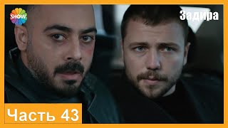 Часть 43 | Задира