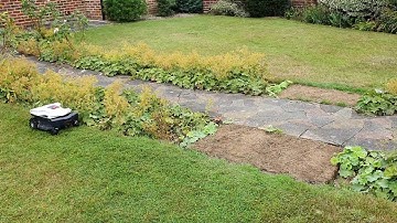 Ambrogio Twenty Elite robot mower crossing path