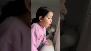 Başımıza Gelene Bak