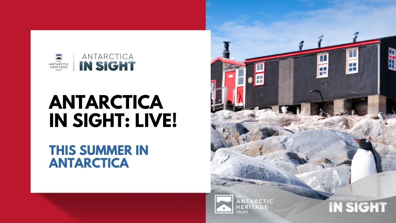 This Summer In Antarctica