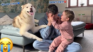 Husky Puppies & Babies Hilarious Reaction To Dad Fake Crying Prank!. [BABY MIMICKS DAD!!!]