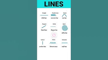 Lines | Different Lines Name Vocabulary