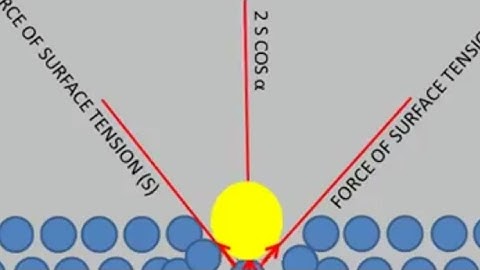 what is surface tension