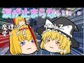 【ゆっくり茶番】アリスが車にはねられた？魔理沙のくやし涙！
