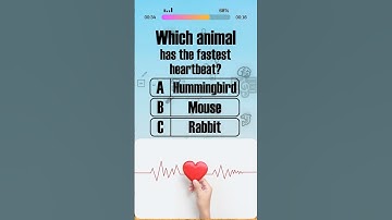 🐢Animals Fun Quiz Knowledge №6