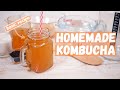 How to Make Kombucha  | Basic Recipe | Чайный гриб - рецепт