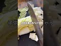 双子シンママが作る簡単おつまみ #シングルマザー #料理 #簡単レシピ キムチ革命 #キムチ好き