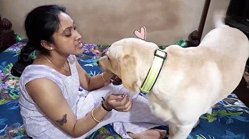 Mum is tired after long day. But Coco need his cuddles. Watch how gets his loving from Mum.