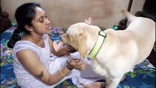 Mum is tired after long day. But Coco need his cuddles. Watch how gets his loving from Mum.