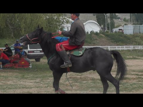 Video: Коксур деген сөз кандай сүйлөм?