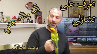 تعرف على صفات الصن كنيور (قرأت بعض تعليقاتكم)