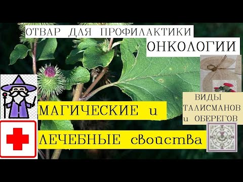 Лопух корень лечебные свойства/КОРНИ ЛОПУХА ПОМОГУТ ВАМ ИЗБАВИТЬСЯ ОТ МНОГИХ БОЛЕЗНЕЙ ./Отвар корень