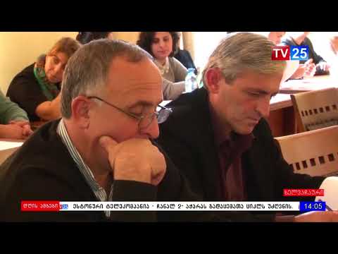 ხელვაჩაურის საკრებულოს სხდომა