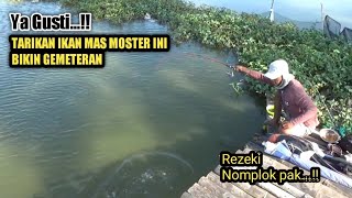 PUAS POL !!! Mancing liaran hari ini dapat IKAN MAS MOSTER bertahun² didalam air Akhirnya kena juga