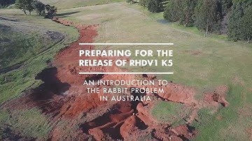 An introduction to the rabbit problem in Australia