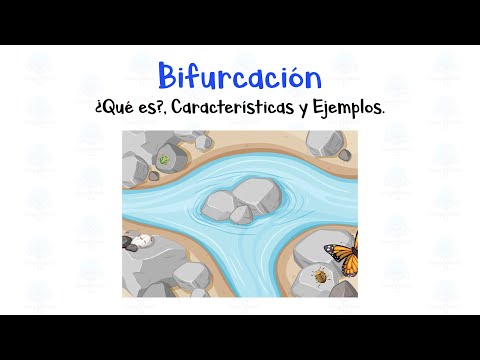 Video: ¿Qué es la bifurcación del río?