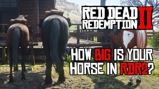 Red Dead Redemption 2 Horses  Size Comparison