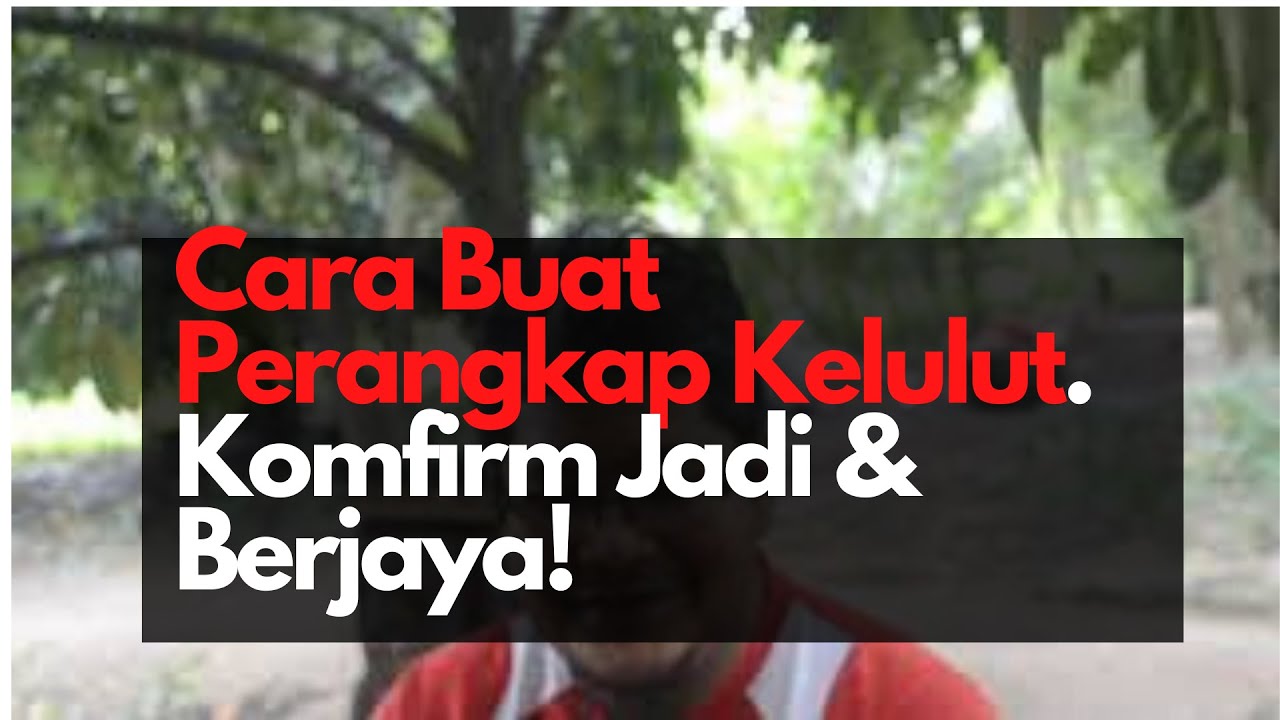 Cara Buat Perangkap Kelulut Yang Berjaya Berkesan Youtube