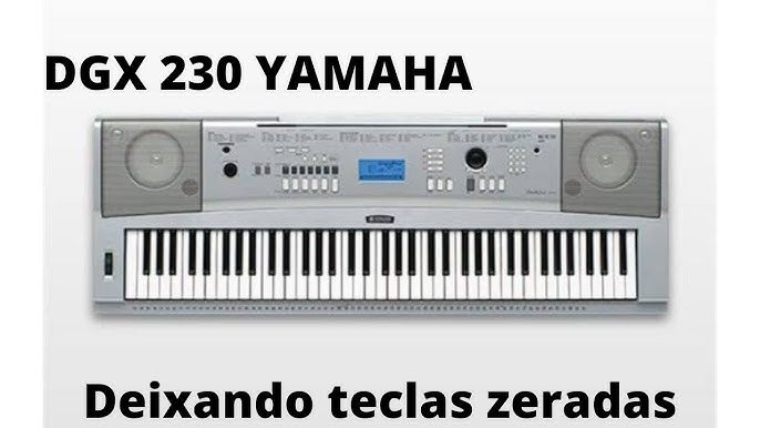 Teclado Yamaha DGX-230 Usado - Atelier Sopros e Cordas