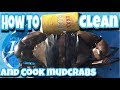 HOW TO CLEAN & COOK MUDCRABS. The Professional Australian Way.